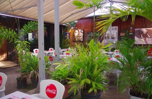 Cayenne Hotel | Discover Hôtel des Palmistes: Family-Friendly Comfort