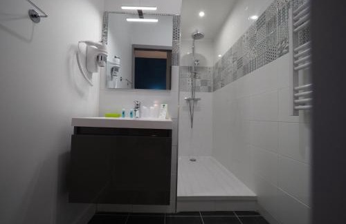 Cœur de Ville Hotel | Discover Hôtel Le Biarritz - Pet-Friendly in Vichy