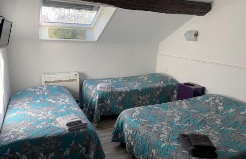 Pont-de-Cheruy Hotel | Discover Comfort at Hôtel Le Cosy - Pet Friendly & Family-Oriented