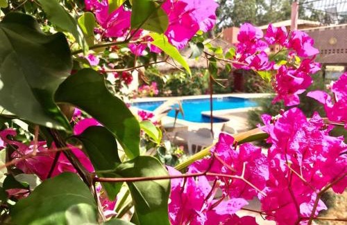 Toubakouta Bed & Breakfast | Discover HÔTEL LE DJIOSFALA: Oceanfront Oasis with Pool