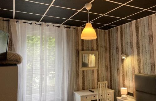 Montlucon Hotel | Cozy Hôtel Le Faisan: Pet-Friendly Stay with Restaurant