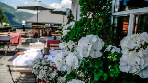 St. Luc Hotel | Pet-Friendly Retreat at Hôtel Le Grand Chalet Favre