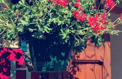 Vars Hotel | Family-Friendly Hôtel Le Lievre Blanc with Top Guest Ratings