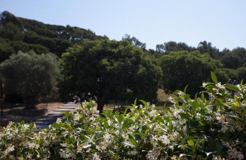 Old Town Hotel | Relax at Hôtel Le Y: 4-Star Oceanfront Retreat with Pool