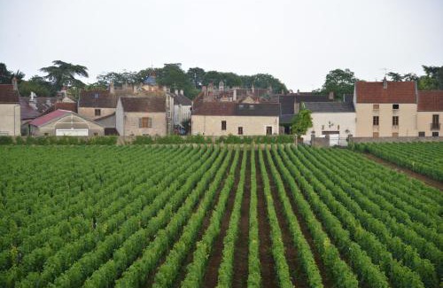 Gevrey-Chambertin Hotel | Explore Les Deux Chèvres: Family-Friendly & Accessible Stay