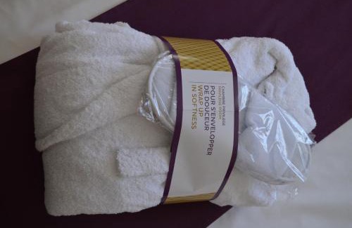 Montauban Hotel | Discover Hotel Mercure Montauban: Pet-Friendly & Accessible