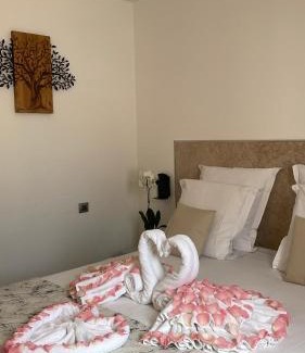Draguignan Hotel | Pet-Friendly Hôtel Provence with Family Amenities & Dining