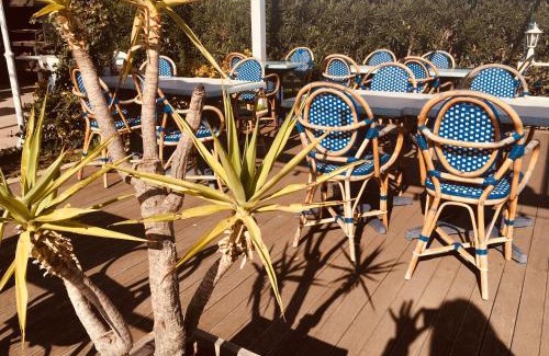 Bastia Hotel | Oceanfront Hôtel Sampiero: Pet-Friendly & Family Welcoming