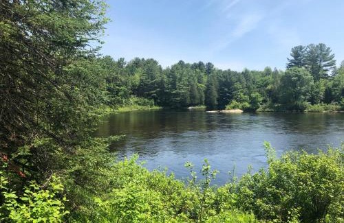 Rawdon Other | Discover Hôtel UNIQ - Forêt Ô Cascades: Pet-Friendly Retreat