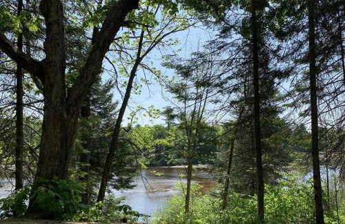 Rawdon Other | Discover Hôtel UNIQ - Forêt Ô Cascades: Pet-Friendly Retreat