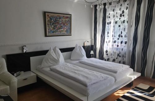 Attnang-Puchheim Hotel | Discover Höckner Plaza Hotel: Pet-Friendly with Breakfast