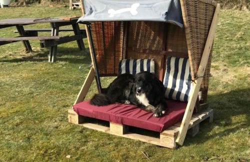Suddorf Apartment | Pet-Friendly Hüs Sanskiin Ferienwohnung in Goodshenk