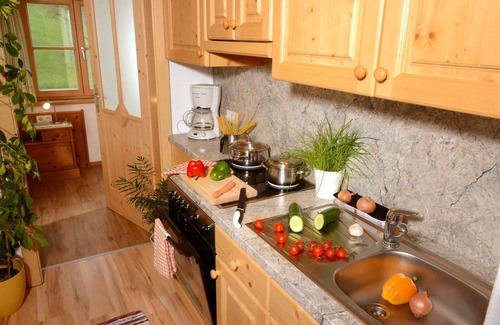 Gatschen Apartment | Hüttstädterhof: Family-Friendly Apartment with Kitchen