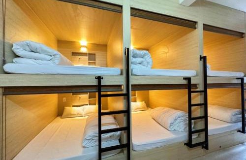 Ha Giang Hotel | Discover Hồng Hào Homestay: Pet-Friendly Comfort & Bikes