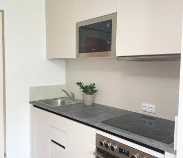 Bad Sauerbrunn Apartment | Cozy Retreat in Bad Sauerbrunn for Families & Pets