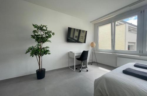 Iselin Apartment | Convenient H95 Studios in Basel City with Family-Friendly Perks