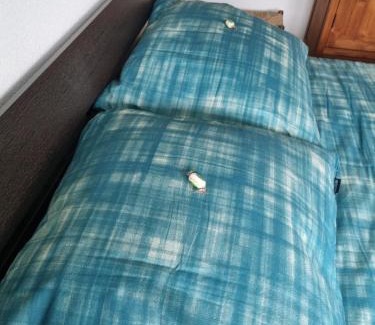 Borger House | Unforgettable Stay at Haardstee: 10/10 Family Friendly