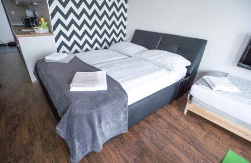 Brno-stred Apartment | Convenient Haas Apartments Downtown with Oceanfront Views