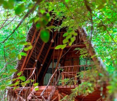 Habarana Resort | Discover Habarana Tree House Ambasewana Resort Retreat