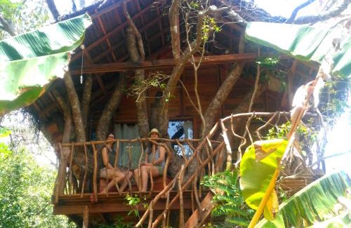 Habarana Resort | Discover Habarana Tree House Ambasewana Resort Retreat