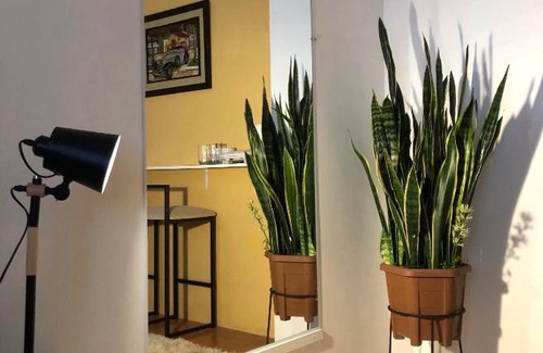 Loja House | Cozy Hotel Room for Families and Pets to Enjoy Together