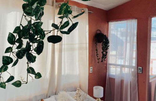 Apizaco House | Cozy Boho Chic Room for Your Next Getaway