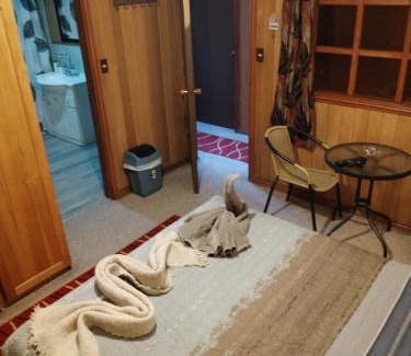 Castro Apartment | Cozy Coigue Room with Family and Pet-Friendly Amenities