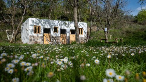 Laujar de Andarax House | Habitación en Granja Ecológica