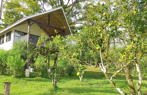 Parrita House | Idyllic Bungalow in Private Jungle with Large Pool