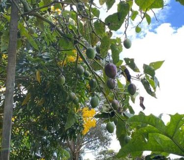Tabio Apartment | Explore Hacienda San Rafael: Family & Pet-Friendly Escape