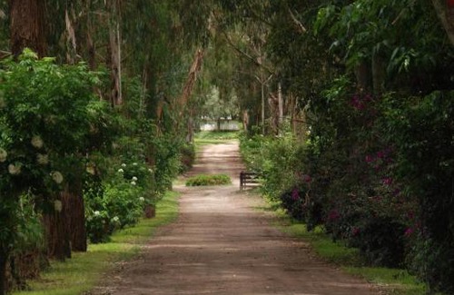 Nobsa Hotel | Discover Hotel Hacienda Suescún: Rated 9/10, Pet Friendly