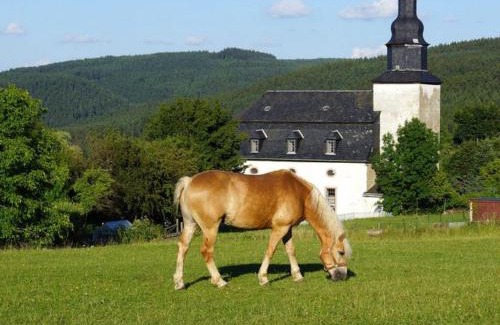 Meura Apartment | Top-Rated Haflinger Reiterhof Meura: Family & Pet Friendly