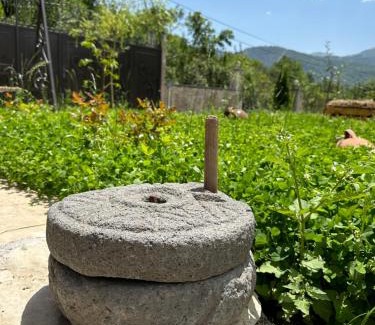 Kaputan House | Haghartsin House