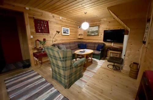 Hol Municipality Cabin | Discover Hakkesetstølen Hytter: Family-Friendly Retreat