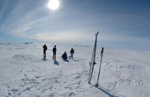 Hol Municipality Cabin | Discover Hakkesetstølen Hytter: Family-Friendly Retreat