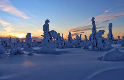 Syote House | Unforgettable Family Stays at Halaus - Rated 10/10!