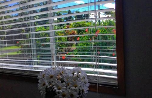 Kapoho Apartment | Discover Hale “Hā Hā”: Oceanfront Family Retreat
