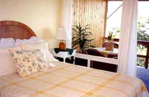 Kealia Bed & Breakfast | Pet-Friendly Retreat at Hale-Hoola B & B - 4-Star Stay