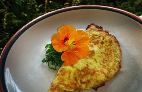 Holualoa Bed & Breakfast | Charming Hale Hualalai: Family-Friendly Retreat, Rated 9.7