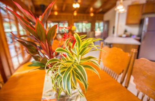 Volcano House | Relaxing Hale Mauna Loa with Shared Hot Tub - 4 Star Stay