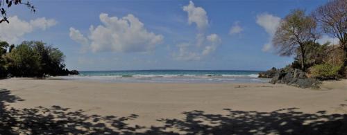 Bacolet Hotel | Half Moon Blue Hotel: Private Beach & Oceanfront Pool Access
