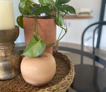 Halfway Creek Apartment | Pet-Friendly Halfway Creek Studio with Breakfast & Family Comfort