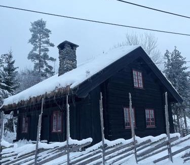 Slemdal House | Pet-Friendly Hallingstua: Rated 10/10 by Guests!