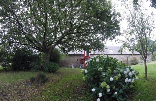 Bourbriac House | Nature Retreat in Briac Connemara - Guest Rated 9.7/10