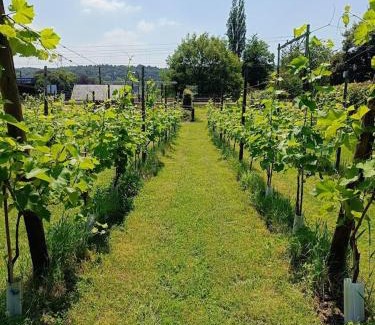 Geulhem House | Relax at Halte Sint-Gerlach Holiday Home with Ocean Views
