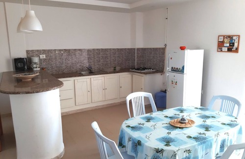 Mrezga Apartment | Discover The House of Olive Trees in Hammamet's Beauty