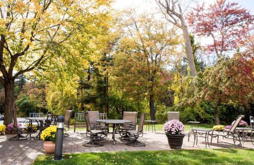 McKownville Hotel | Discover Comfort at Hampton Inn Albany-Western Ave
