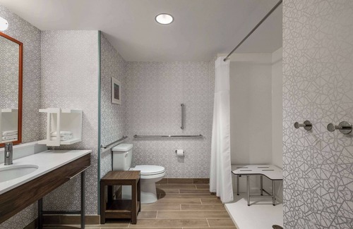 Holly Hotel | Enjoy Comfort at Hampton Inn Austin East Side with Pool