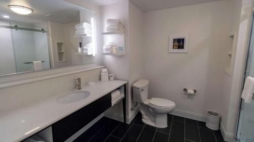 Carlstadt Hotel | Pet-Friendly Stay at Hampton Inn Carlstadt Near Meadowlands