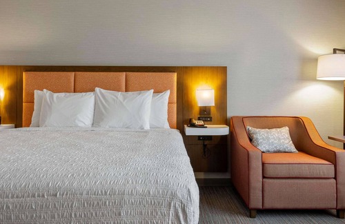 Colorado Springs Hotel | Pet-Friendly Retreat: Hampton Inn Colorado Springs Northeast